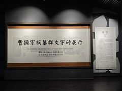 -亳州博物馆