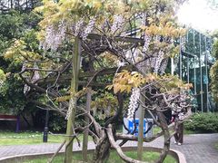 -雨花台烈士纪念馆