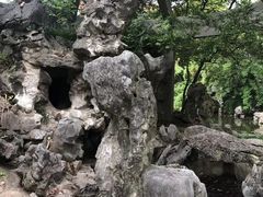 -叶家花园
