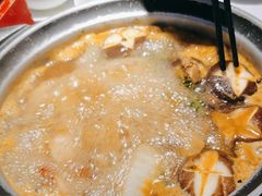 -禄婶鸡煲·打边炉
