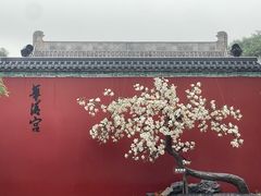 -华清宫景区