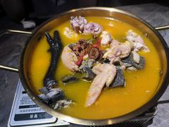 -Darling Queen·Mini·Live·House