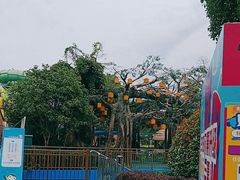 -苏州湾梦幻水世界