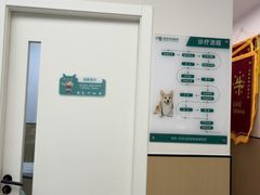-瑞派康怡24h宠物医院·犬猫医疗中心·微创绝育(瑞景分院)
