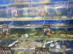 -小船渔村•大连菜•大连焖鱼(明泽街店)