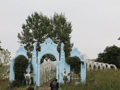 -大塘金香草谷