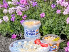 -溪边姑娘·拉丝酸奶水果捞(春熙路店)