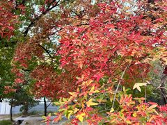 -国家植物园南园