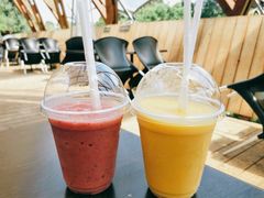 -怀托摩萤火虫洞