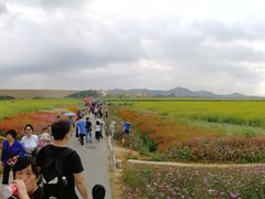 -光明小镇欢乐田园