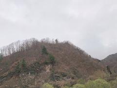 -狮子沟牧场