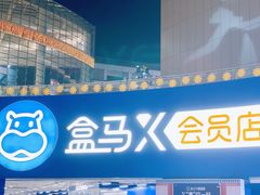 -盒马X会员店(王府井奥莱UP TOWN店)