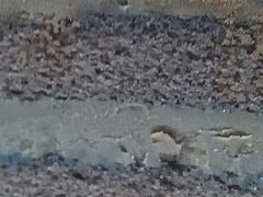 -匠造烘焙(上海湾店)