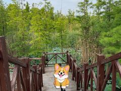 -同里国家湿地公园