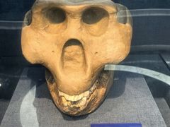 -国家自然博物馆