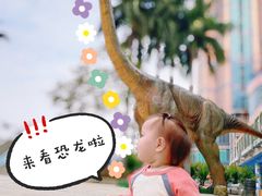 -黄金海岸水上乐园