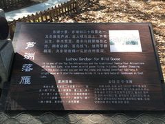 -东湖落雁景区