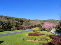 -棒棰岛宾馆景区