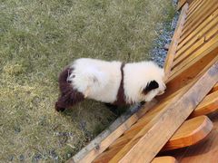 -茅山东方盐湖城景区