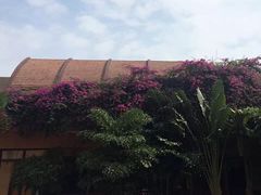 -三亚湾海居铂尔曼度假酒店