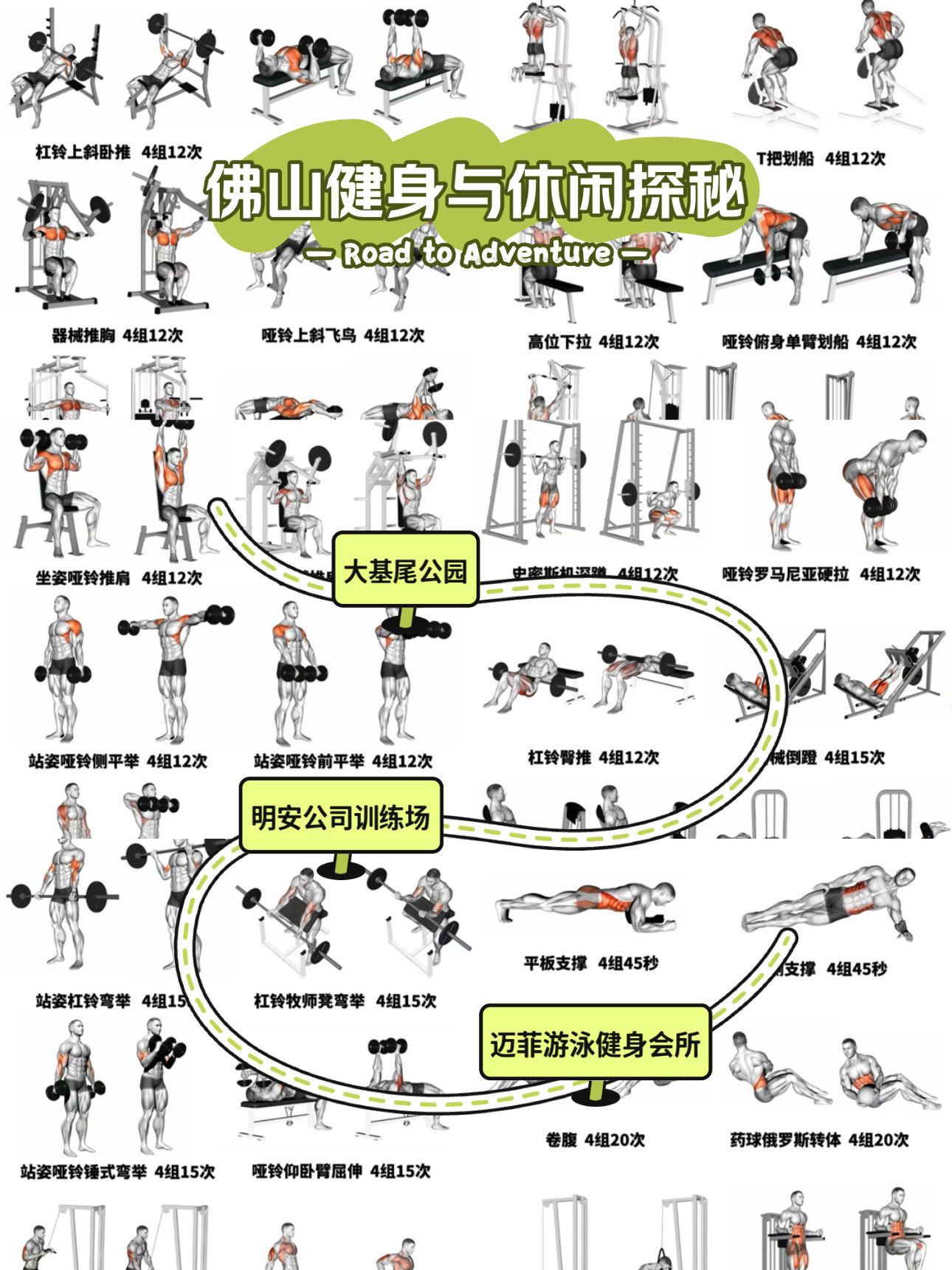 健身动作大合集