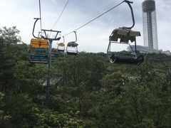 -富斯特索道