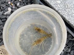 -DGE季风钓虾营地·团建·聚会