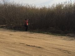 -明秦王墓遗址