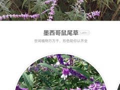 -贡湖湾湿地公园