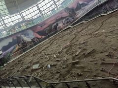 -诸城市恐龙博物馆
