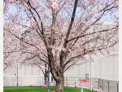 -栖露营camping·天幕烧烤·团建拓展·采摘营地