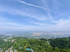 -大金鹰园