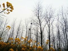 -杭州师范大学(下沙校区)