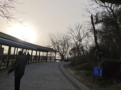-巢湖姥山岛