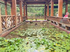 -姑婆山旅游区