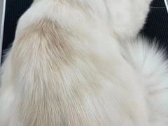 -comecome来吧宠物(奥克斯中心店)