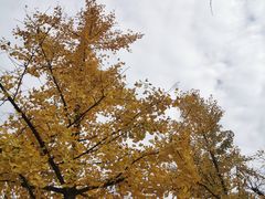 -西安浐灞国家湿地公园