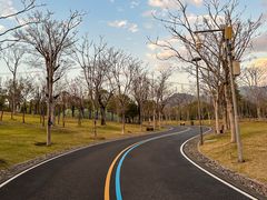 -牛岗山公园