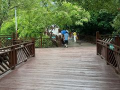 -泉州海丝野生动物世界