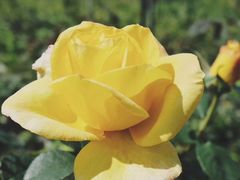 -楠溪江风景名胜区