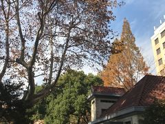 -徐家汇源景区-衡山公园