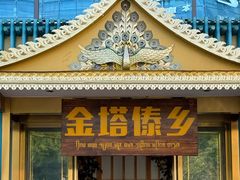 -金塔傣乡·云南德宏民族特色菜·傣味手抓饭(新亚洲店)