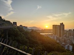 -福道