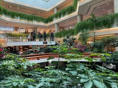 -广州白天鹅宾馆