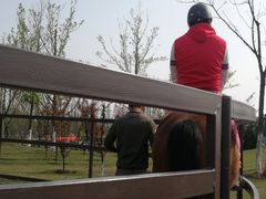 -上海长兴岛郊野公园