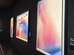 -罗红摄影艺术馆