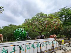 -广东茂名森林公园