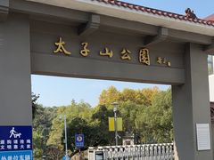 -太子山公园(园东路)