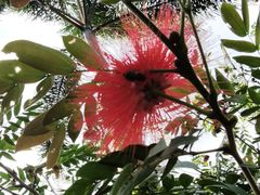 -老李烧烤(世贸南路店)