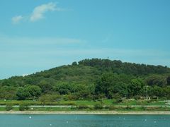 -羊山湖公园